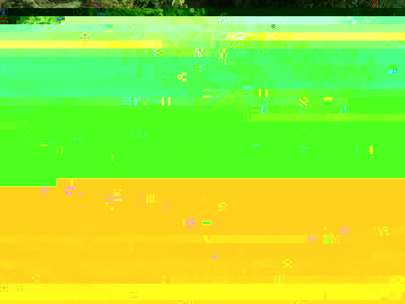 rad.jpg